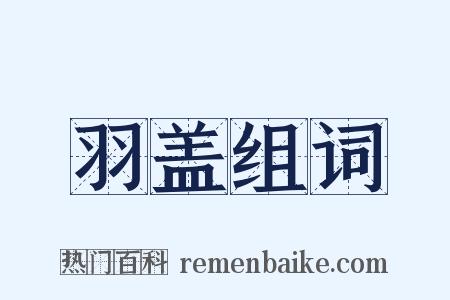 羽盖组词是什么意思的图片